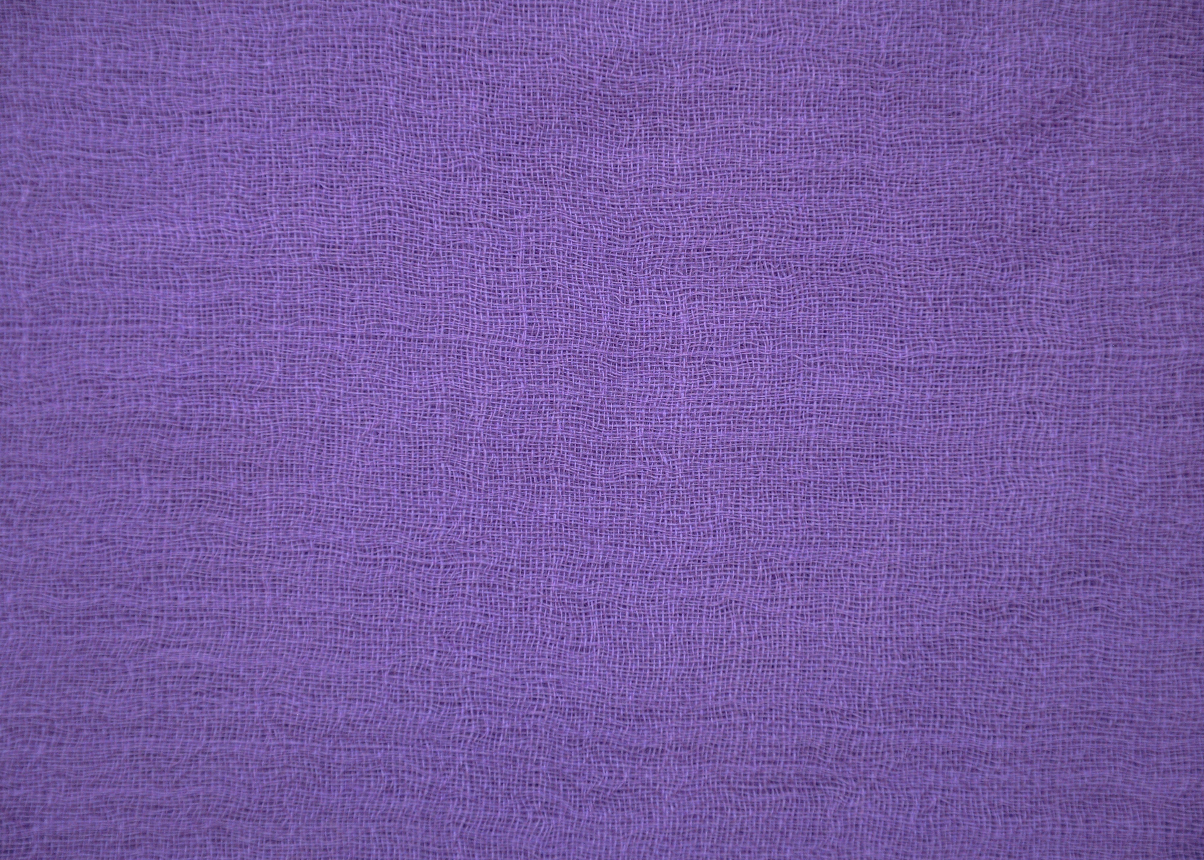 Pashmina Scarf Plain Purple
